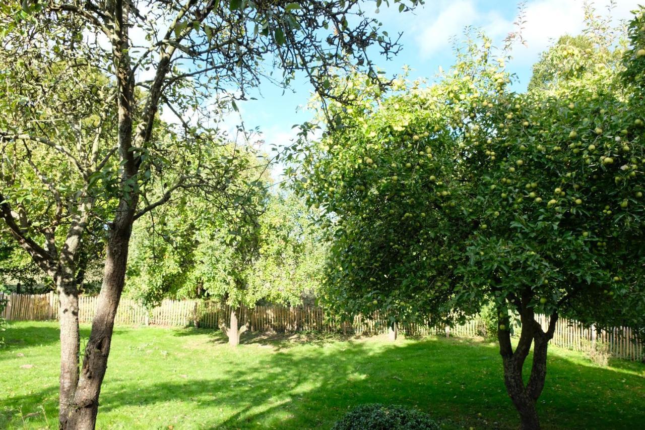 Urlaubsoase Ostsee Hohen Schoenberg Exterior foto
